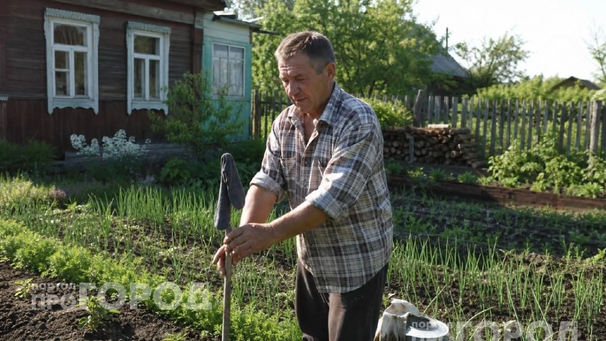 Один старый носок на палке избавит от комаров на весь вечер: простое решение для комфортного отдыха на даче
