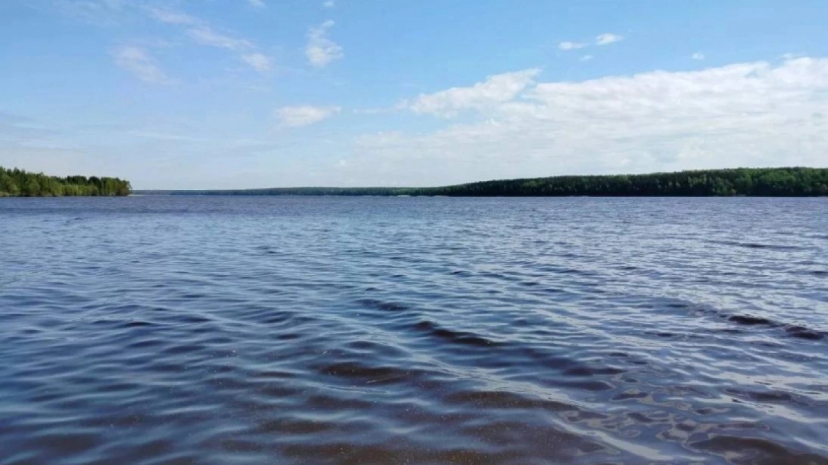 Сезонные ограничения на любительскую рыбалку сняли в Нижегородской области