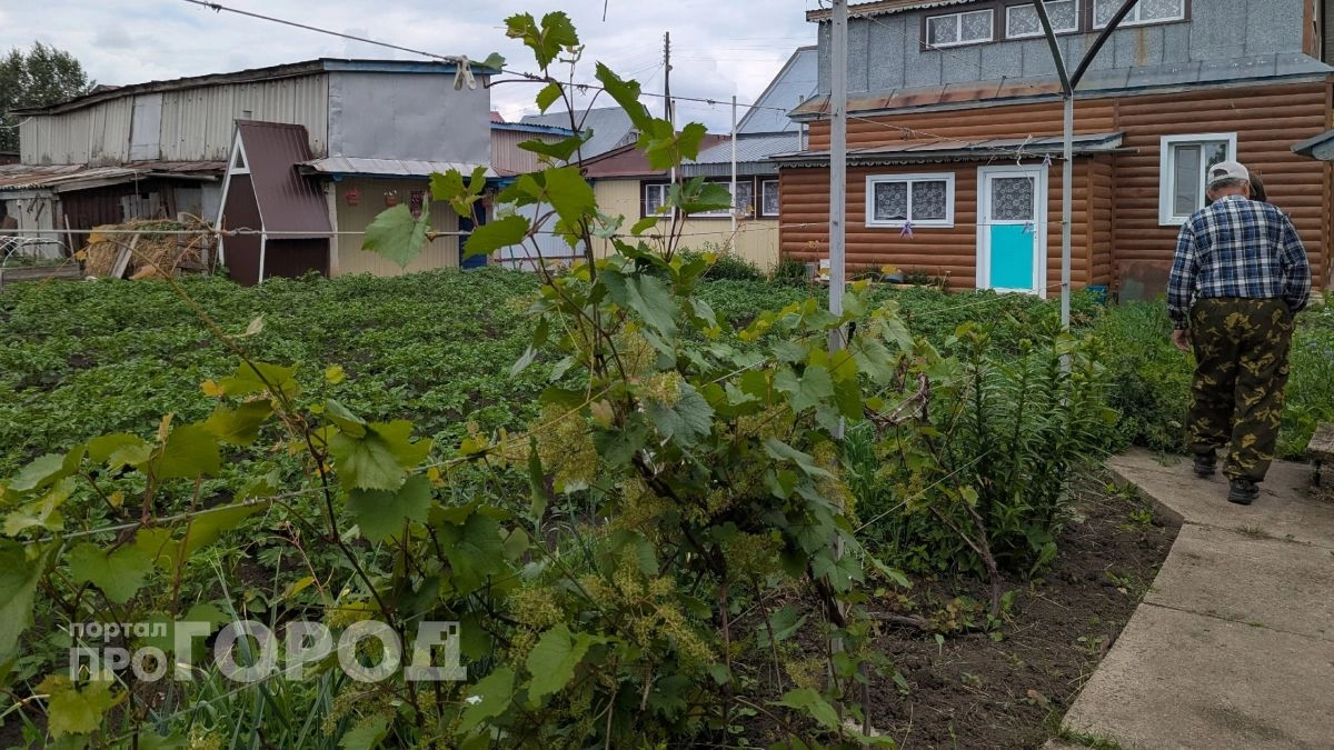 Забудьте про тяпку: смешайте всего один стакан этого средства с водой и сорняки исчезнут уже к следующему утру