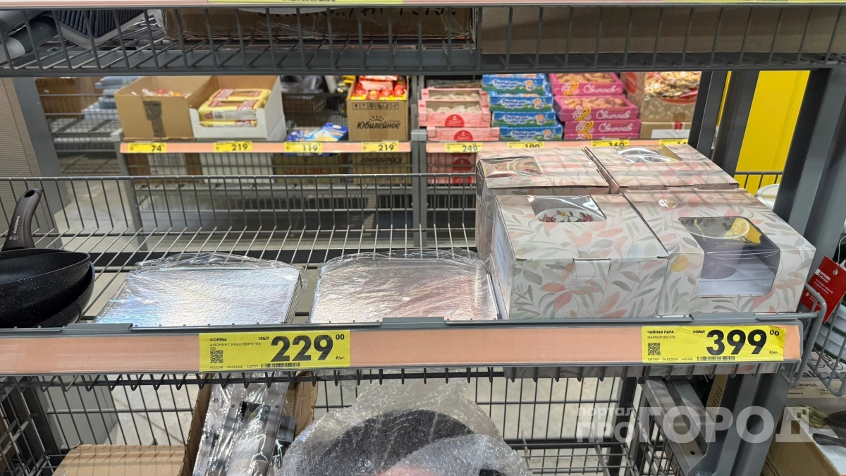 Отхватила по акции в "Чижике" дешёвую сушилку для посуды, но не для кухни: вот где она пригодилась в быту
