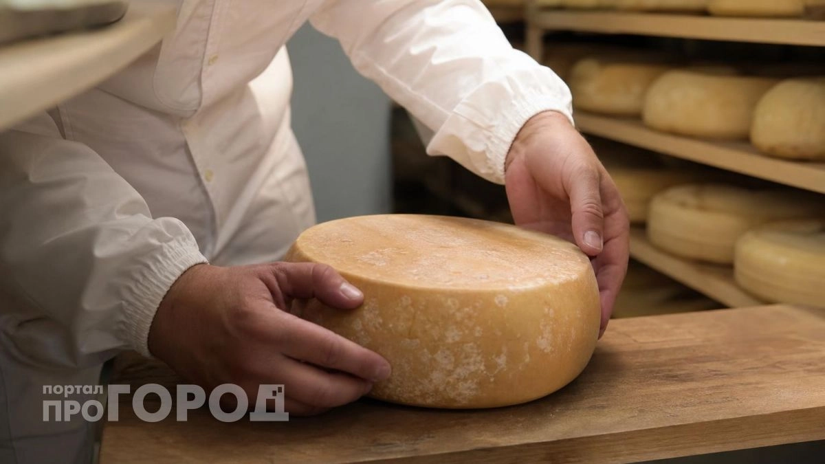 Сыр сомнительного качества обнаружили в Нижегородской области