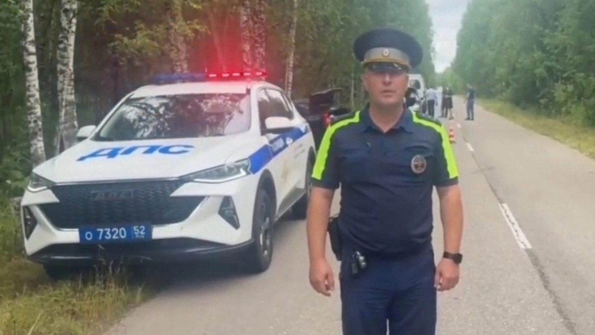 Два человека погибли в Нижегородской области, влетев на "Рено" в дерево