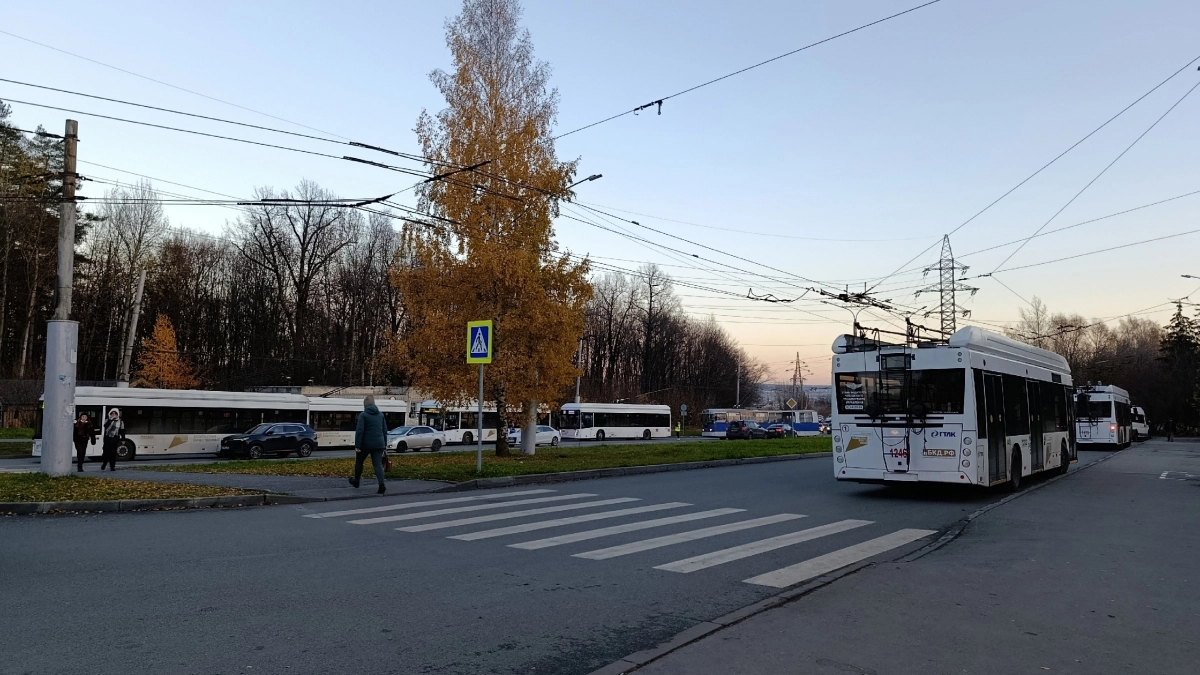 Водителям больше не нужно останавливаться перед каждым пешеходом: Верховный Суд уточнил новые правила проезда