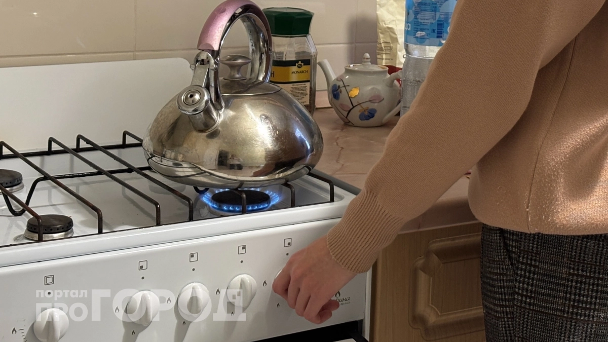 Хватит гадать на кухне: честный разбор расходов покажет, почему электрическая плита выгоднее газовой в 2026 году