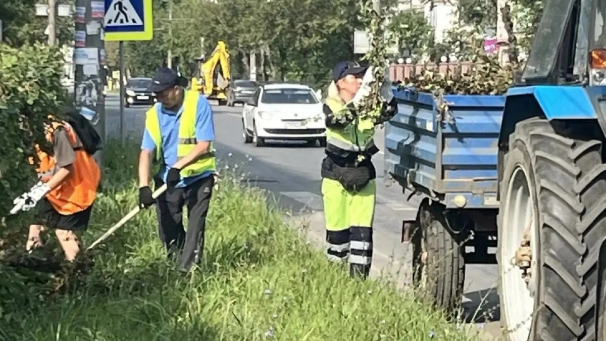 В Дзержинске продолжаются плановые работы по кронированию деревьев на улицах и проспектах