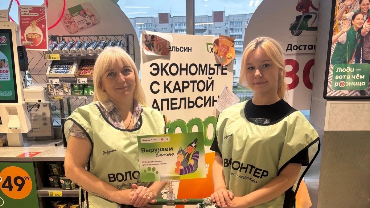 В Дзержинске волонтеры собрали 90 килограммов корма для бездомных животных