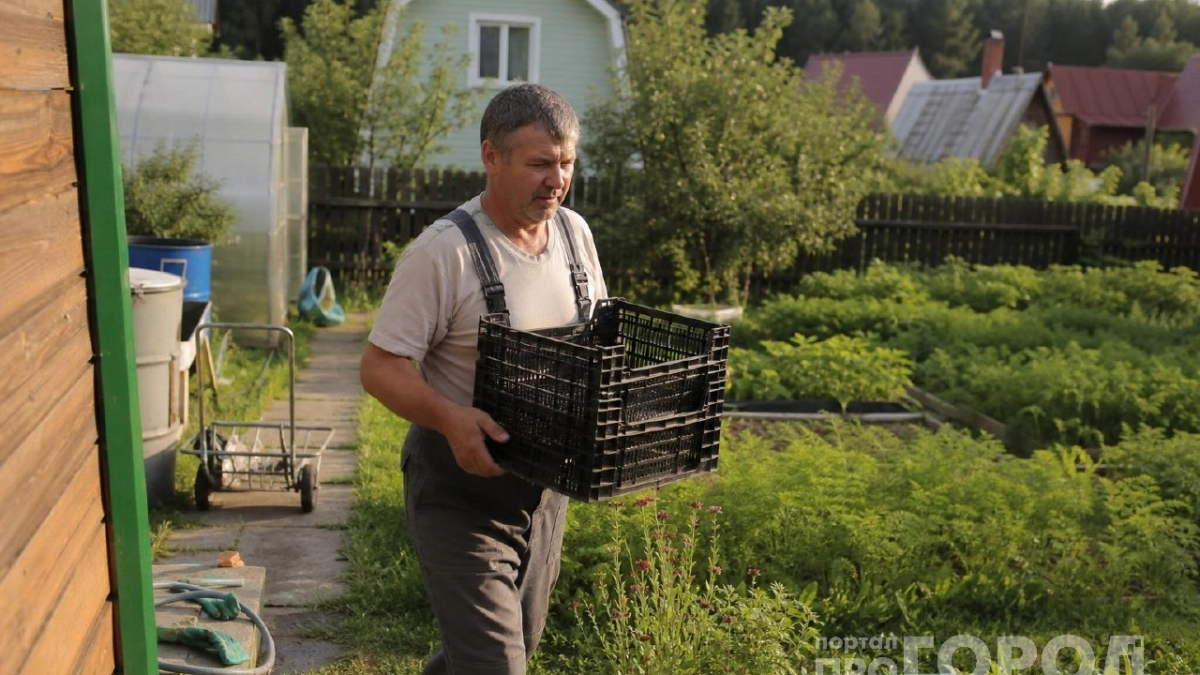 Собираю пластиковые ящики в башню на колёсах: инструменты больше не валяются по всему сараю
