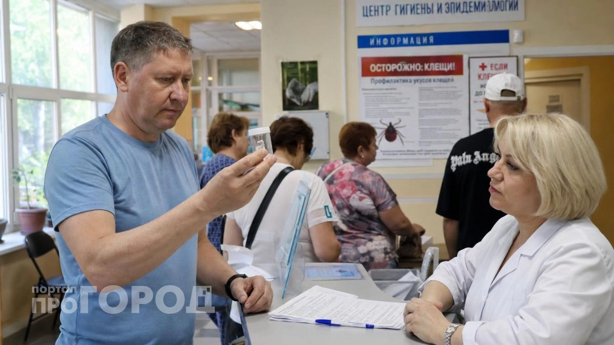 Дзержинск вошел в число самых опасных округов по активности клещей