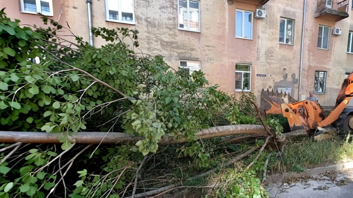 После ночного ветра в Дзержинске убрали 45 упавших деревьев