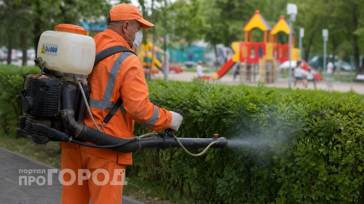В Нижегородской области за шесть лет стало на 300 тысяч работающих больше