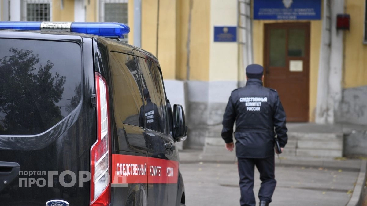 Убийство пенсионерки в Нижегородской области раскрыли спустя более 20 лет