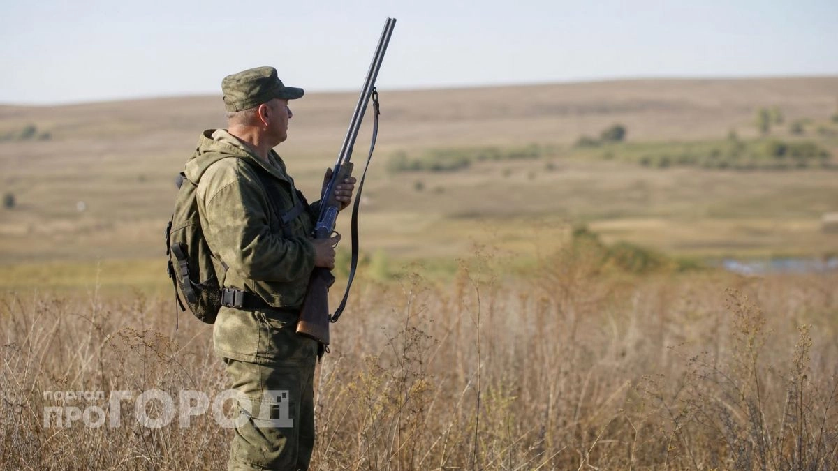 Бобров, лисиц и кабанов разрешили отстреливать в Нижегородской области