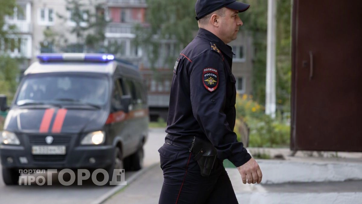 Дзержинец поверил в "декларирование" денег и отдал преступникам 1,42 млн рублей