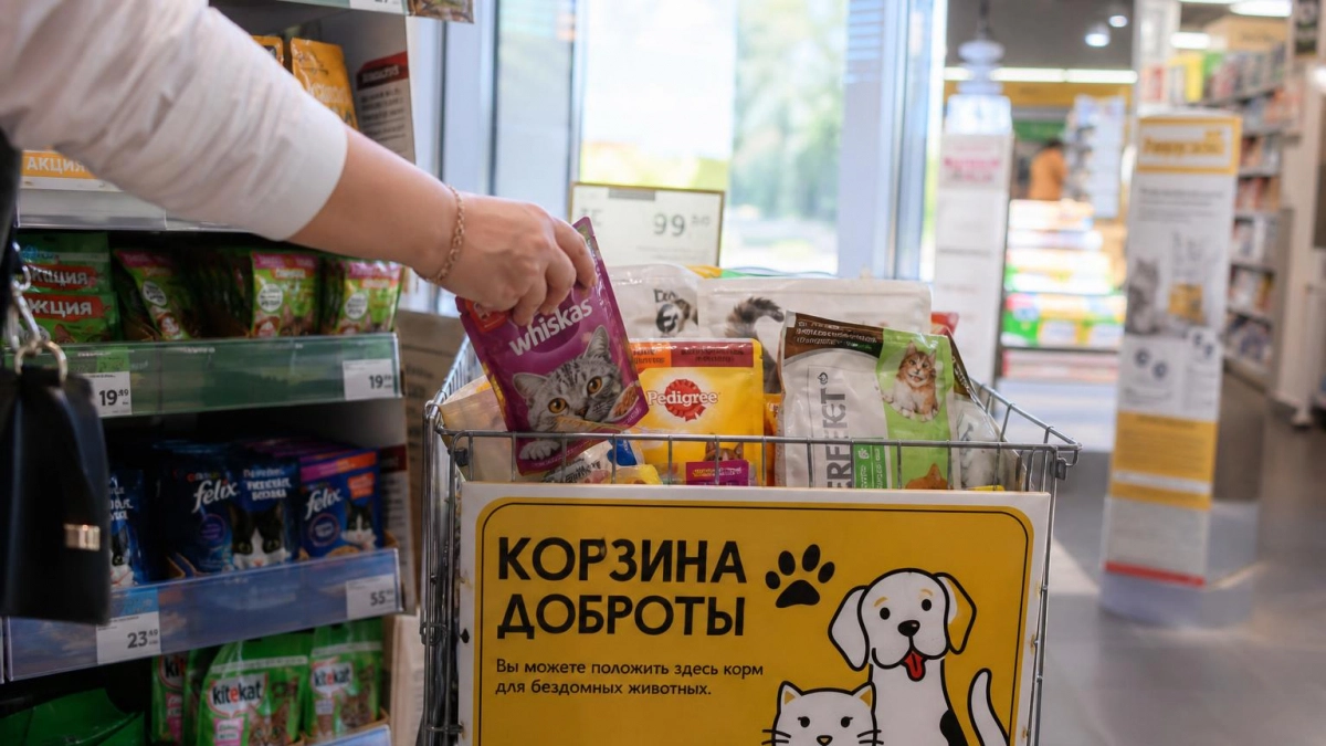Дзержинцы заполнили две тележки кормом для бездомных животных
