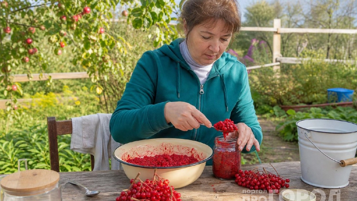 Калину перетираю не с сахаром, а с солью: дерзкий осенний соус затмевает кетчуп