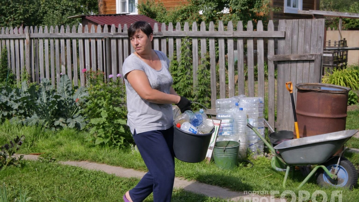 Делаю «окошки» в пластиковых бутылках: собираю вертикальную грядку не хуже покупной