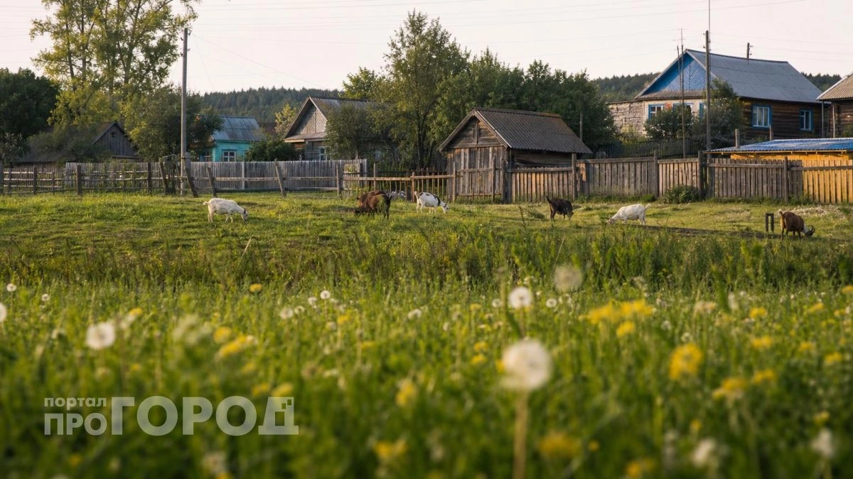 Число населенных пунктов в Нижегородской области сократилось вдвое