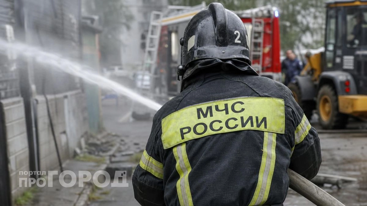 Пять человек погибли в огне на территории Нижегородской области за неделю