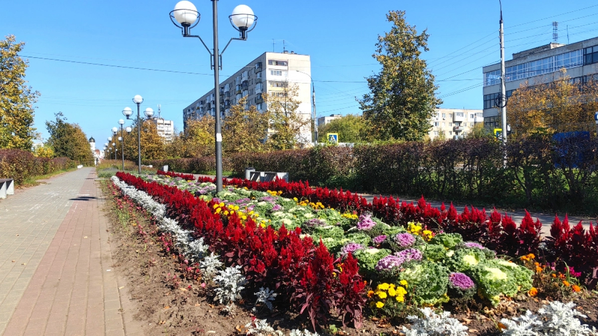 На бульваре Химиков в Дзержинске появилась клумба с декоративной капустой