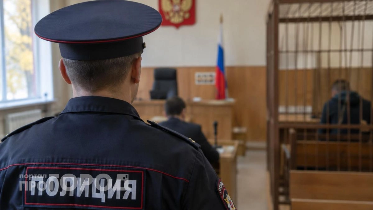 В Нижегородской области пенсионера оштрафовали за попытку пронести складной нож в суд