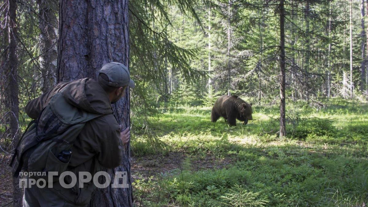 Медведи у жилых домов, ремонт Театральной площади и суд над сотрудницей почты: главные новости за 25 сентября