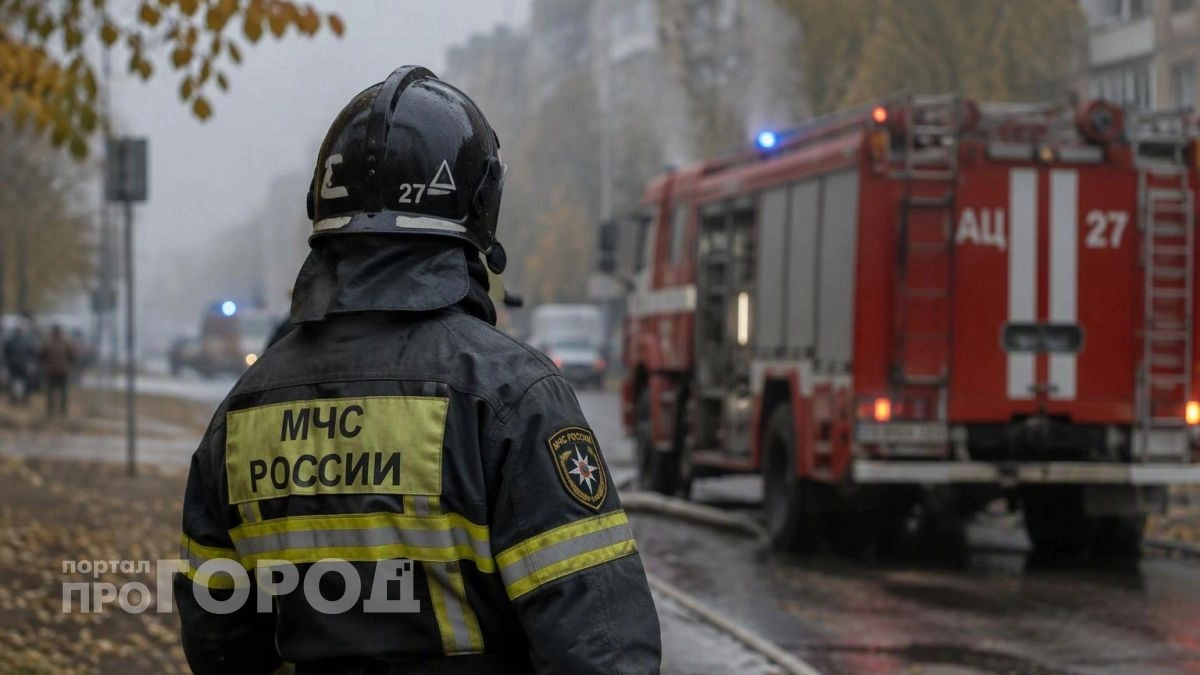 Пожарные в Дзержинске остановили стену огня на площади 1400 квадратных метров