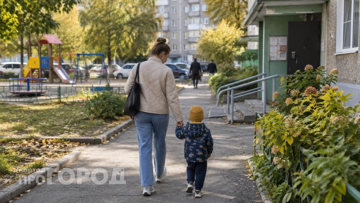 В Дзержинске мать двоих детей выбивает через суд 963 тысячи маткапитала