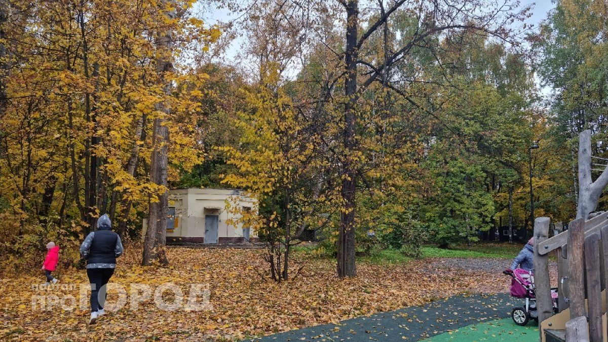 Дзержинск накроет резкое похолодание до нуля после аномального тепла