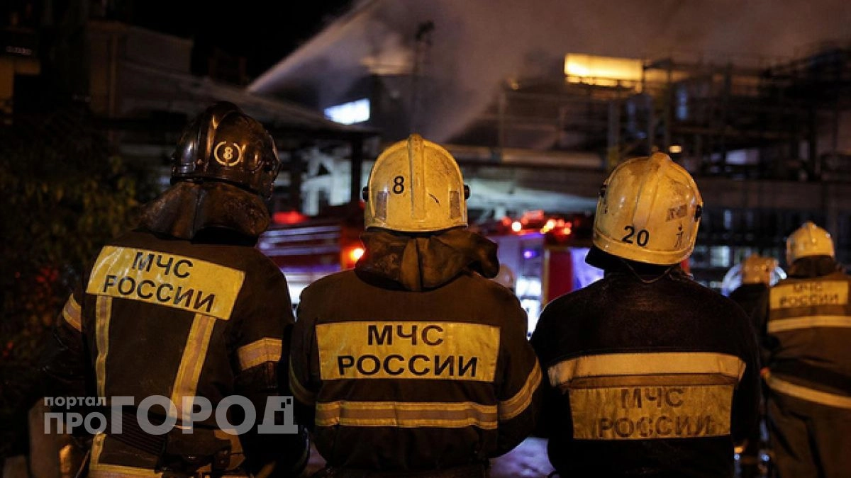 В Нижегородской области за неделю потушили 78 пожаров и спасли двоих человек