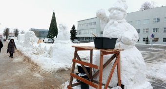 Снежный городок на площади более 300 кв. метров появится в центре Дзержинска