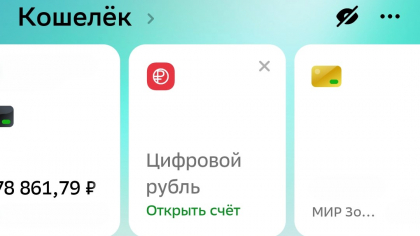 Жители Нижегородской области обнаружили в онлайн-банках цифровые кошельки